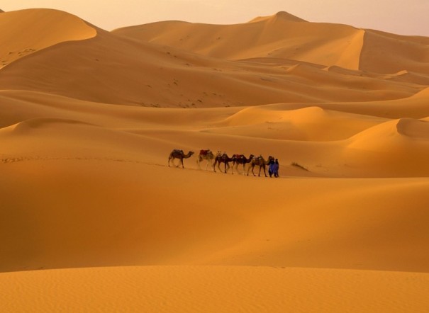 Desierto del Sahara