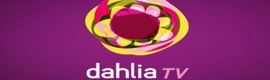 Dahlia Tv abandona sus planes de expansión en España
