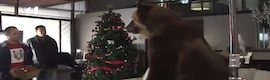 Ovideos Spot für Gol TV mit Iniesta und dem Bären, dem Weihnachtsphänomen