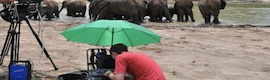 ‘Distant Thunder’: Anton/Bauer se va de safari a Kenya