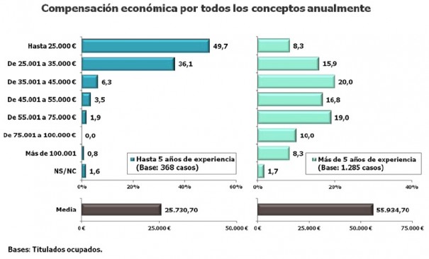 El Ingeniero de Telecomunicación: perfil socio-profesional 