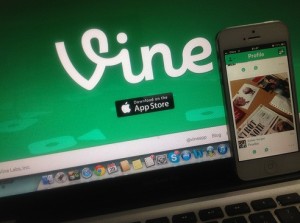 Vine