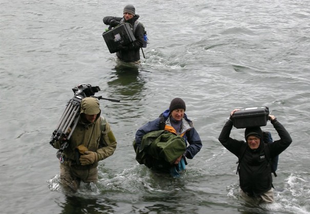 Great Bear Stakeout (Foto: BBC)