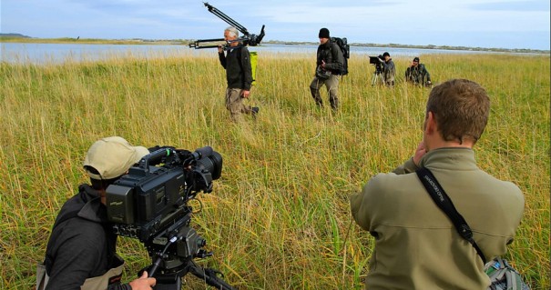 Great Bear Stakeout (Foto: BBC)
