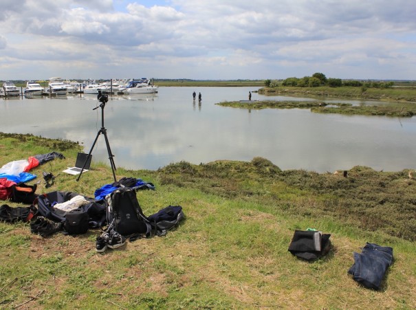 Field Broadcast