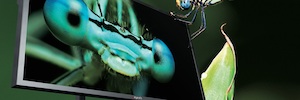Eyevis will show at IBC its new 85-inch Ultra High Definition screen designed for television studios