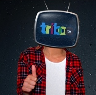 Tribo Tv