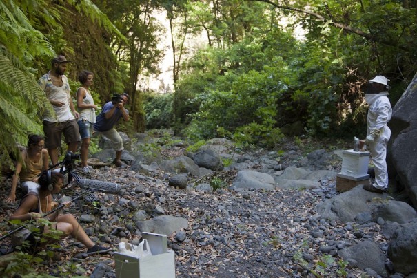 La Palma Rueda - Festivalito 2015 (Foto: Virginia Park)