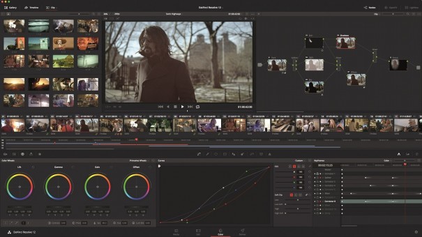 Davinci Resolve 12