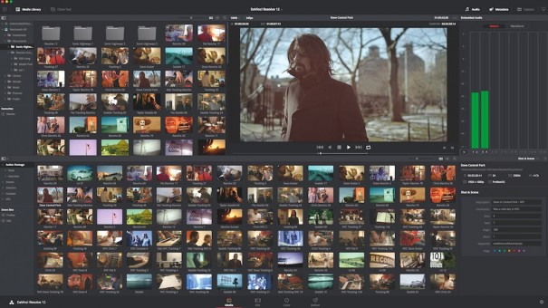 Davinci Resolve 12