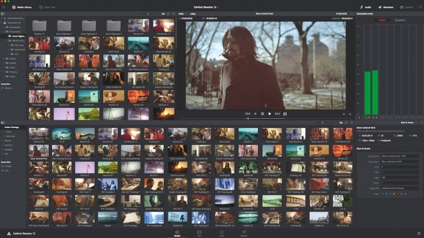 Davinci Resolve 12