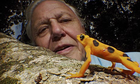 David Attenborough