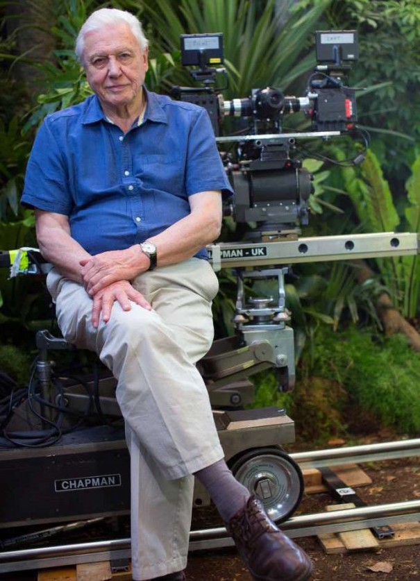 David Attenborough (Foto: Colossus Productions, AP )