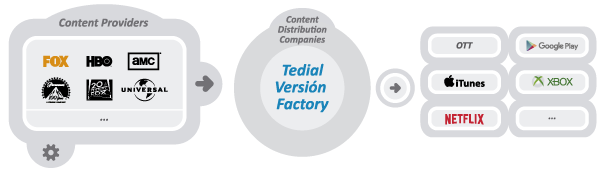 Tedial Evolution Version Factory