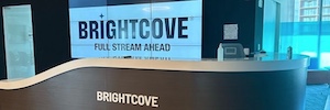 تقوم شركة Brightcove بتعيين CMO وCRO جديدين، وإنشاء منصب COO