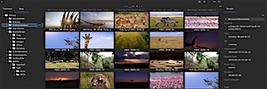 Scalable asset management in any format with Sony Media Backbone NavigatorX