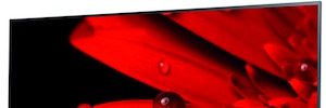 Panasonic представляет на выставке CES новый OLED 4K PRO HDR и проигрыватель Blu-ray нового поколения