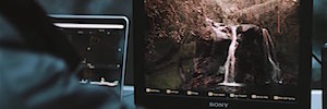 Sony actualiza su gama de monitores profesionales OLED y LCD HD
