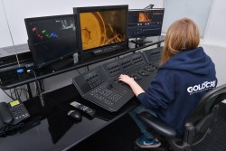 Goldcrest con DaVinci