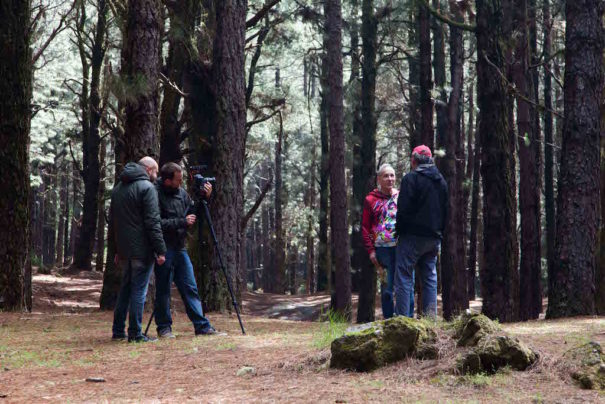 'En busca de Oscar' en el XI Festivalito La Palma (Foto: Virginia Park)