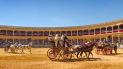 Enganches de Caballos de Ronda