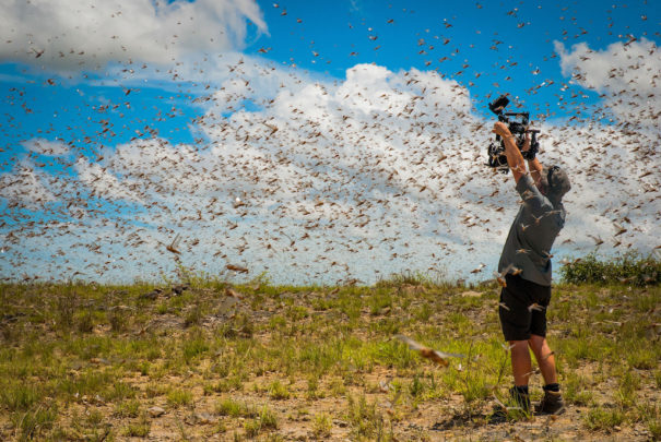 Planet Earth (BBC)