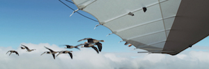 Así se rodó ‘Spread your wings’: la vida de las aves a vista de pájaro desde drones DJI