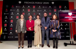 Premios Feroz 2020 (AICE)