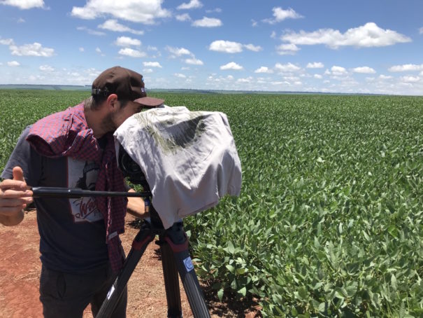 Paraguay: Poisoned Fields