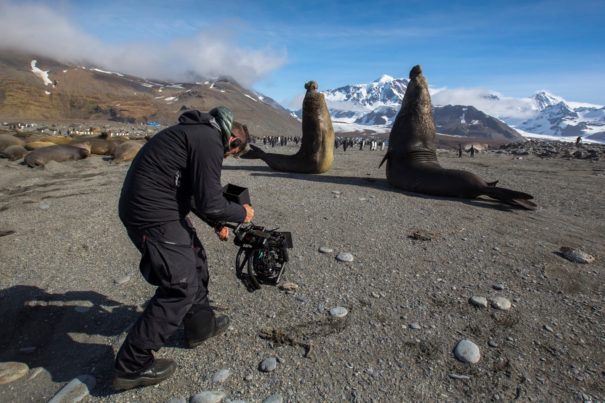 Seven Worlds, One Planet (Foto: Rob Hawthorne)