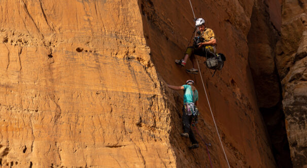 Towers of tigray 