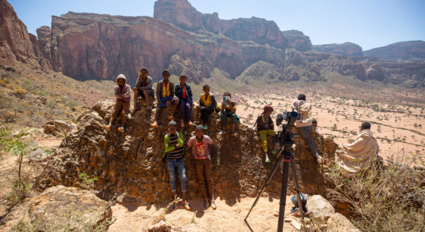 Towers of tigray 