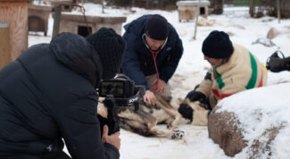 Arctic Vets 