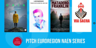 Conecta Fiction Pitch Euroregion NAEN