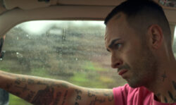 Brassic - Blackmagic Design - DaVinci Resolve