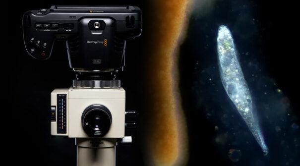 Blackmagic Pocket Cinema Camera 6K - Protist Lab Films