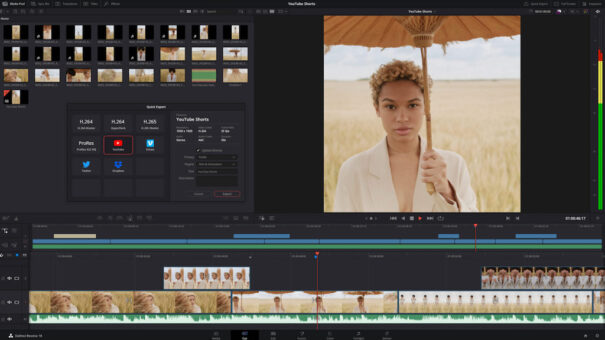 DaVinci Resolve 18.1