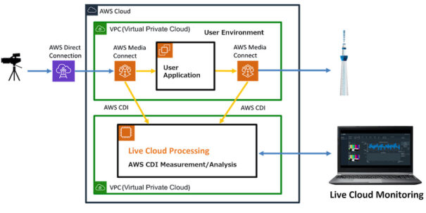 Análisis sobre la, nube de Leader con AWS