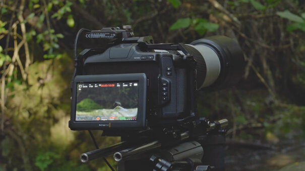 Península Ibérica, natureza infinita - Tecnologia - Cinema de natureza