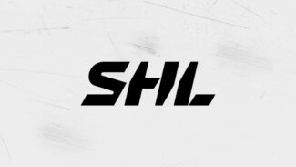 Net Insight - Mobilelinks - SHL - Logo