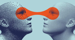 MAC Mercat Audiovisual Catalunya 2024 - 25