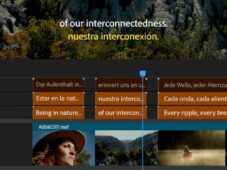 Adobe Caption Translation