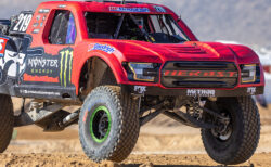 Marshall CV574 - Terrible Herbst