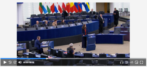 Parlamento Europeo - Norsk