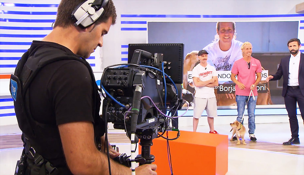 Sistema estabilización cámaras - broadcast (Foto: RTVE)