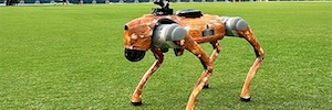 wTVision estrena un perro-cámara en la la transmisión en directo de la Indian Premier League