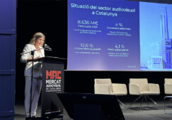 CAC - Informe 2024 Audiovisual