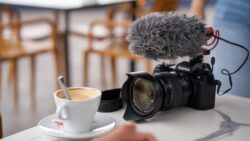 Festivalito La Palma 2025