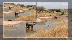 Cinegy IBC 2025 Reescalado