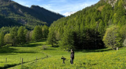 Blackmagic Pyxis 6K - iPlanet